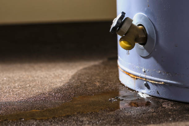 Best Sewage cleanup and water damage restoration  in Fincastle, TN