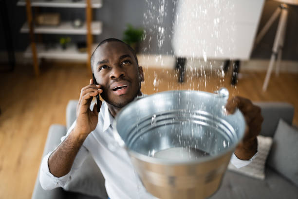 Best Water damage restoration near me  in Fincastle, TN