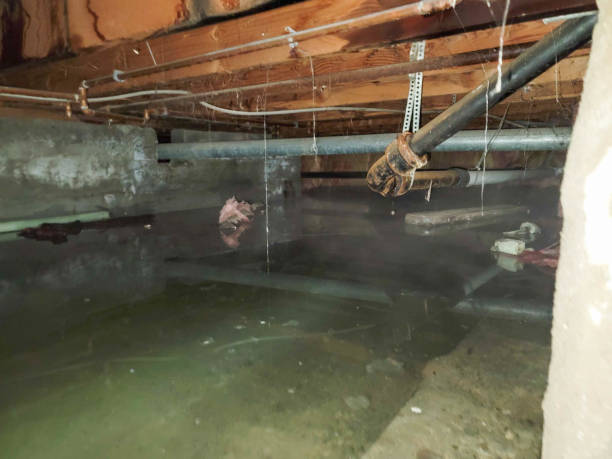 Best Flood restoration services  in Fincastle, TN