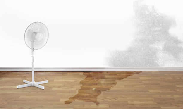 Best Emergency water damage restoration  in Fincastle, TN