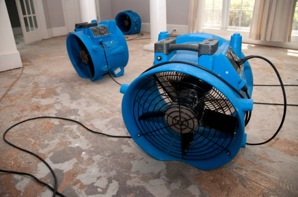 Best Emergency water damage restoration  in Fincastle, TN