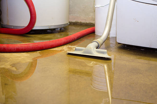 Best Commercial water damage restoration  in Fincastle, TN