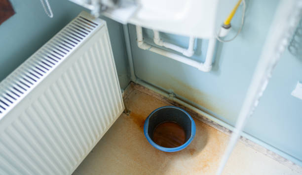 Best Sewage cleanup and water damage restoration  in Fincastle, TN
