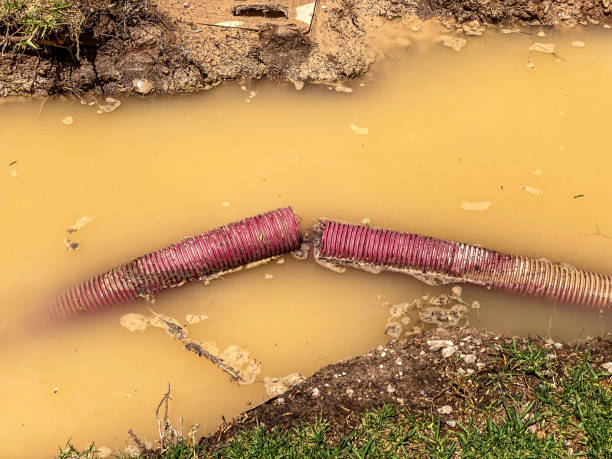  Fincastle, TN Water damage restoration Pros