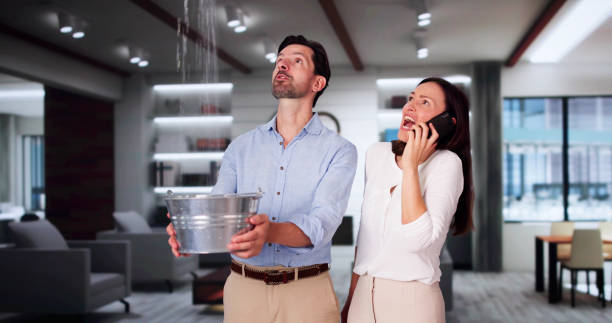 Best Professional water damage repair  in Fincastle, TN