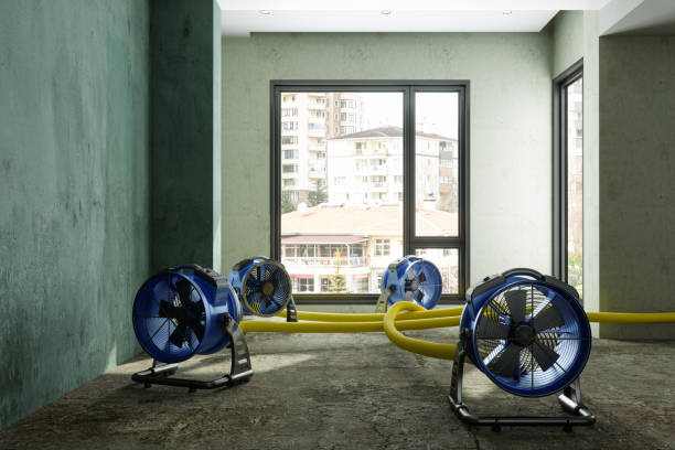 Reliable Fincastle, TN Water damage restoration Solutions