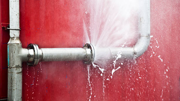 Best Basement water damage restoration  in Fincastle, TN